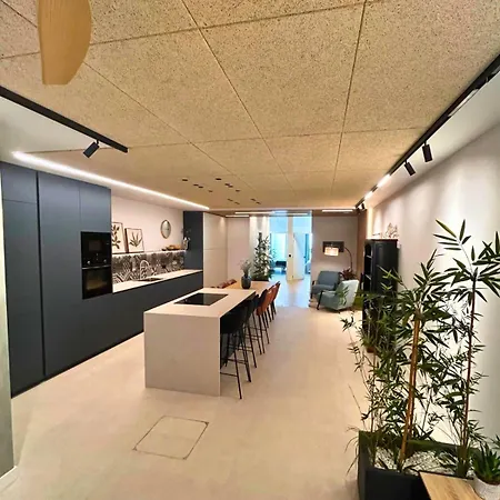 Loft Alojalia Daire Jaca